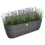 vibia campana easy hanger XXL 70cm anthracite